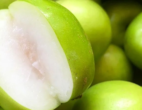 西双版纳苹果枣:自然之馈赠,口感与健康的完美结合(图5) 西双版纳苹果枣:自然之馈赠,口感与健康的完美结合(图5)