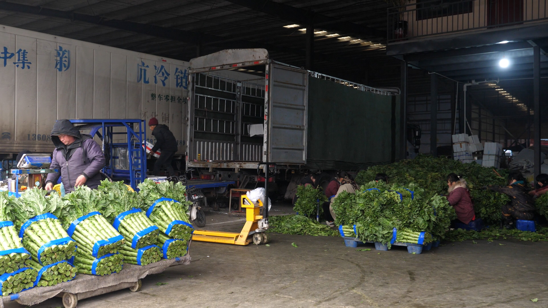 大象新闻发布：实探万邦丨有商户日销30吨蔬菜 外地商户开大货车批水果(图2)