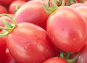 爆浆口感丨让你爱上千禧小番茄(图5) 爆浆口感丨让你爱上千禧小番茄(图5)