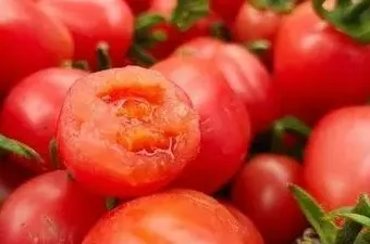 爆浆口感丨让你爱上千禧小番茄(图7) 爆浆口感丨让你爱上千禧小番茄(图7)