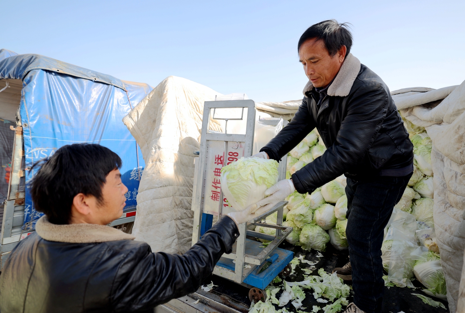 河南日报客户端报道:万邦:保障市场供应 稳住节日“菜篮子”(图7) 河南日报客户端报道:万邦:保障市场供应 稳住节日“菜篮子”(图7)