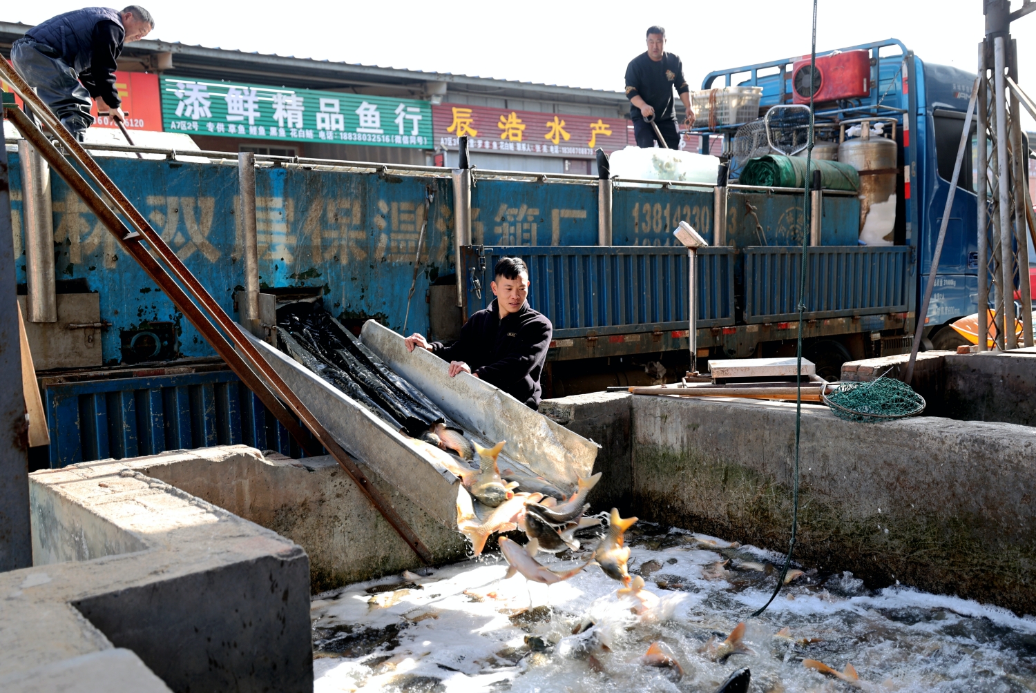 河南日报客户端报道:万邦:保障市场供应 稳住节日“菜篮子”(图11) 河南日报客户端报道:万邦:保障市场供应 稳住节日“菜篮子”(图11)