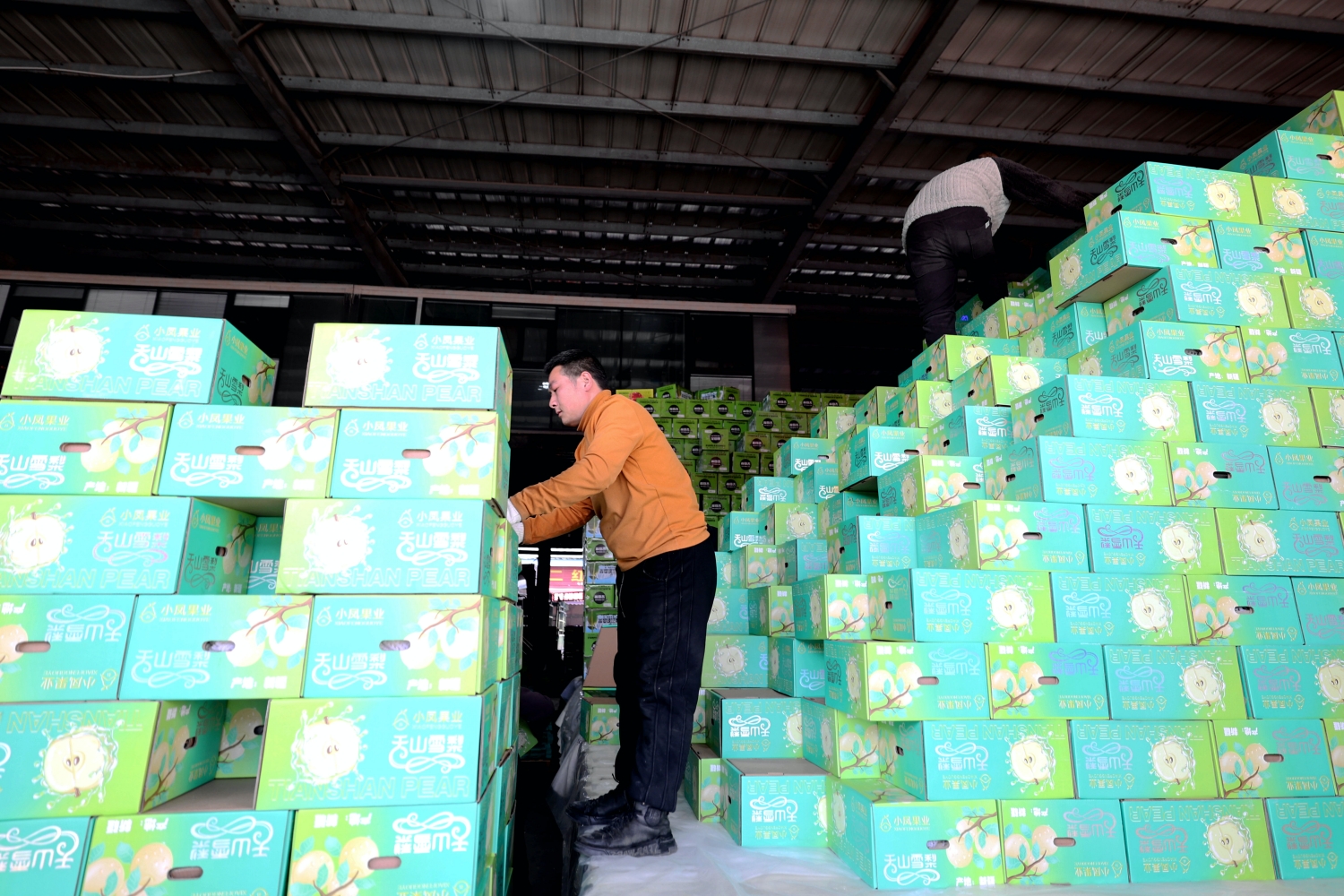 河南日报客户端报道:万邦:保障市场供应 稳住节日“菜篮子”(图4) 河南日报客户端报道:万邦:保障市场供应 稳住节日“菜篮子”(图4)