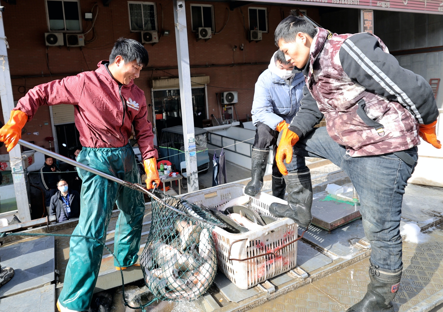 河南日报客户端报道:万邦:保障市场供应 稳住节日“菜篮子”(图8) 河南日报客户端报道:万邦:保障市场供应 稳住节日“菜篮子”(图8)