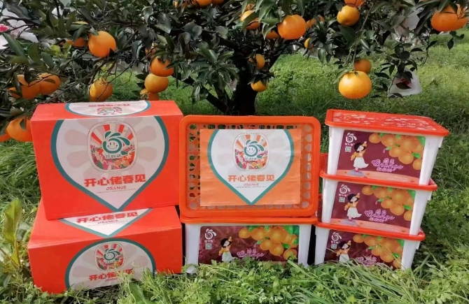 中泰果业褚辉：从零起步到成功之路(图3)