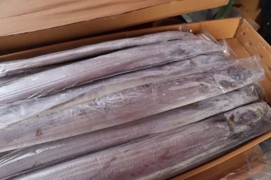 带鱼:北方年夜饭上的常驻嘉宾(图5) 带鱼:北方年夜饭上的常驻嘉宾(图5)