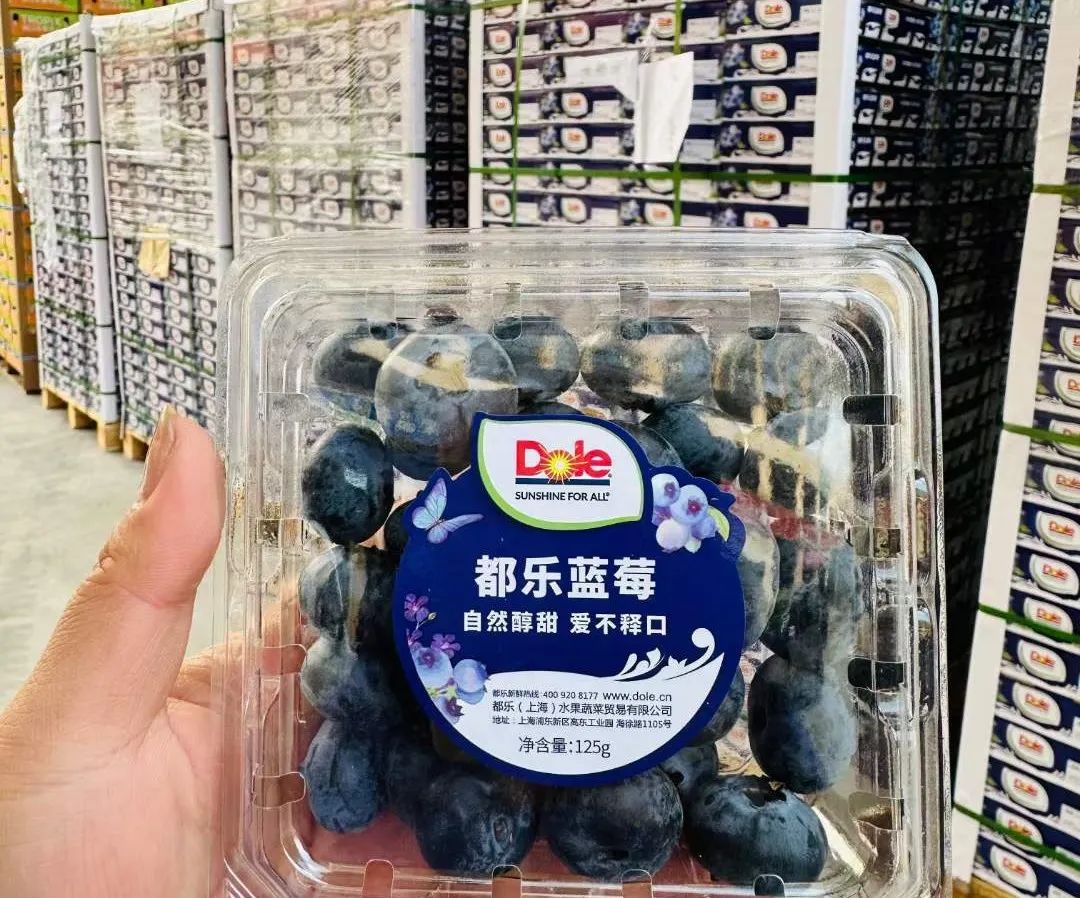 都乐蓝莓丨每一颗都是自然的馈赠(图4)