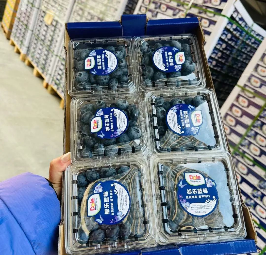 都乐蓝莓丨每一颗都是自然的馈赠(图5)