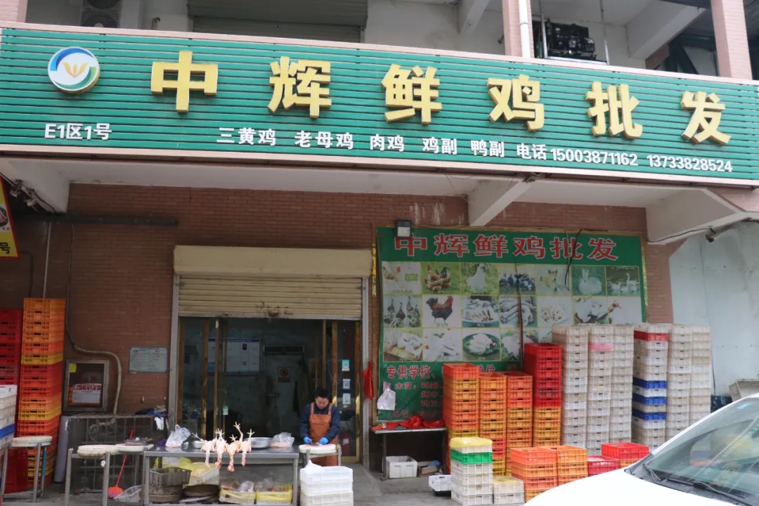 味蕾新宠丨推荐几款鲜美营养的鲜鸡肉品种(图8) 味蕾新宠丨推荐几款鲜美营养的鲜鸡肉品种(图8)