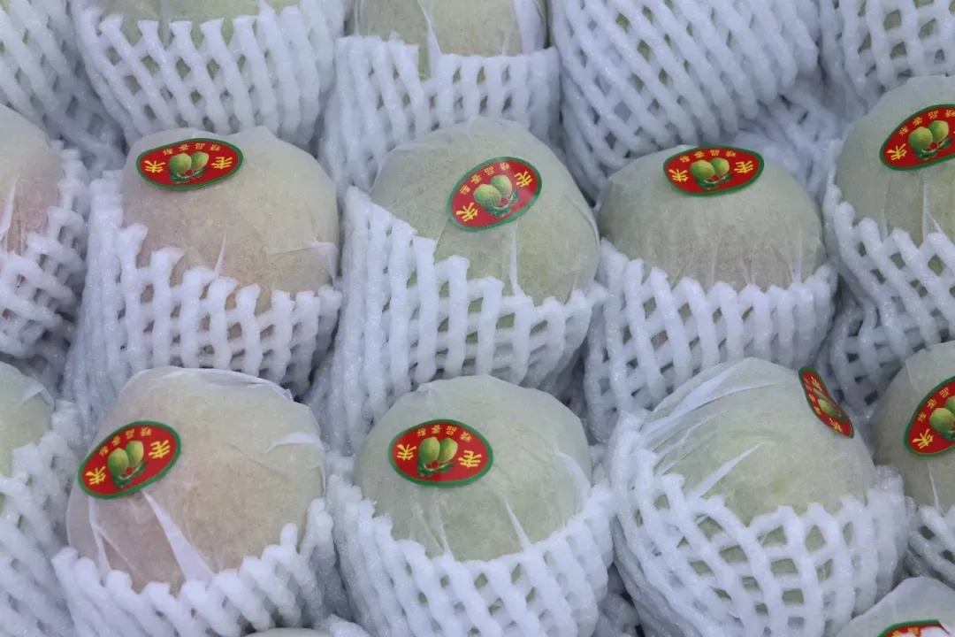 库尔勒香梨丨果中珍品，梨中王子(图2)