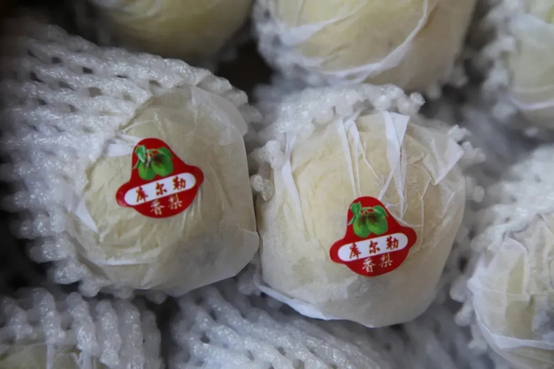 库尔勒香梨丨果中珍品，梨中王子(图7)