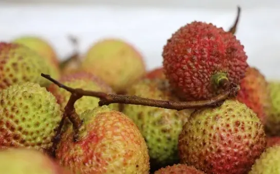 海南妃子笑荔枝甜蜜上市丨初夏的味蕾盛宴等你来尝(图2)