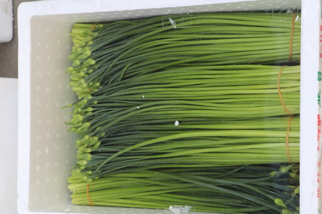 欣鲜农业丨满足市场多样化需求(图6)