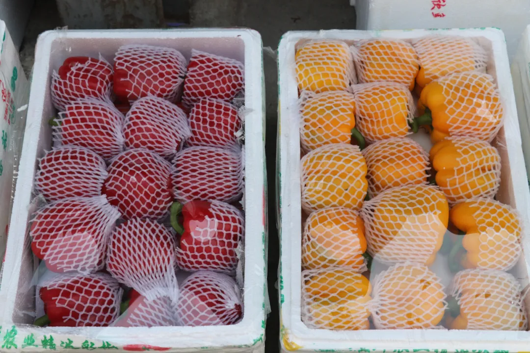 欣鲜农业丨满足市场多样化需求(图7)