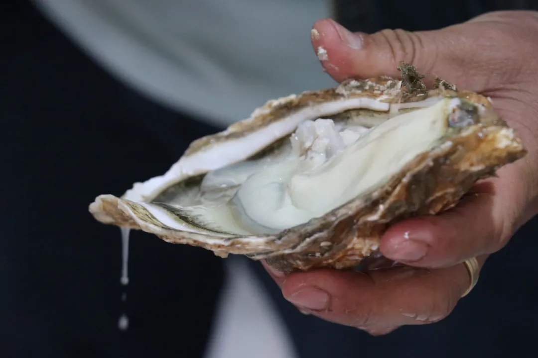 新阿美水产丨优质海鲜冻品 满足您的味蕾盛宴(图5)