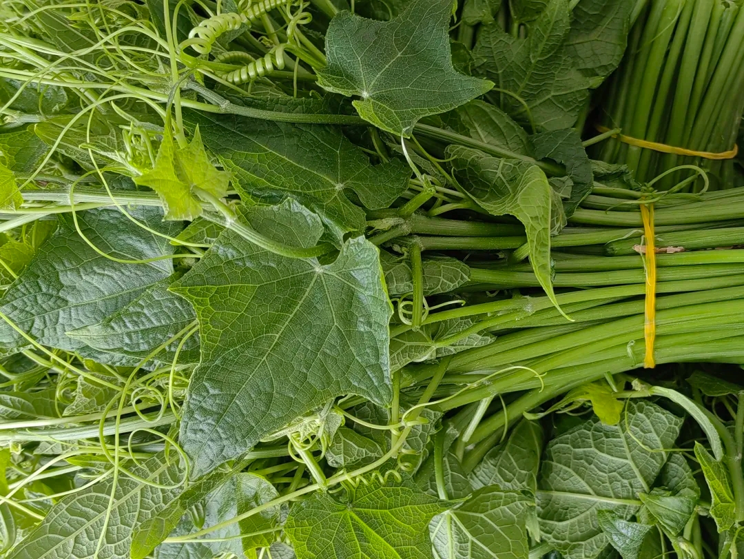 河南日报客户端：寒潮不减“菜篮子”丰盛(图2)