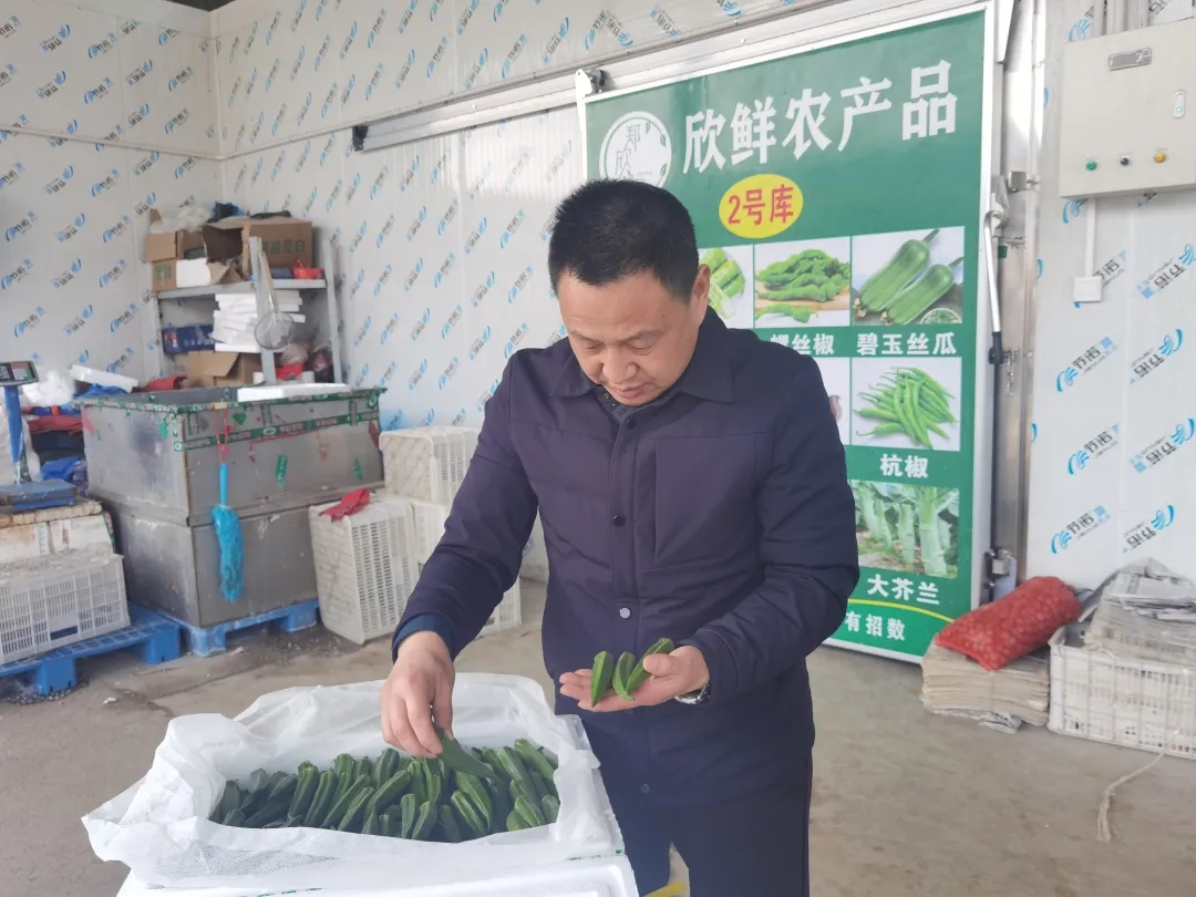 河南日报客户端：寒潮不减“菜篮子”丰盛(图3)